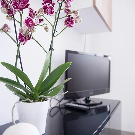 Dimora Serena شقة *